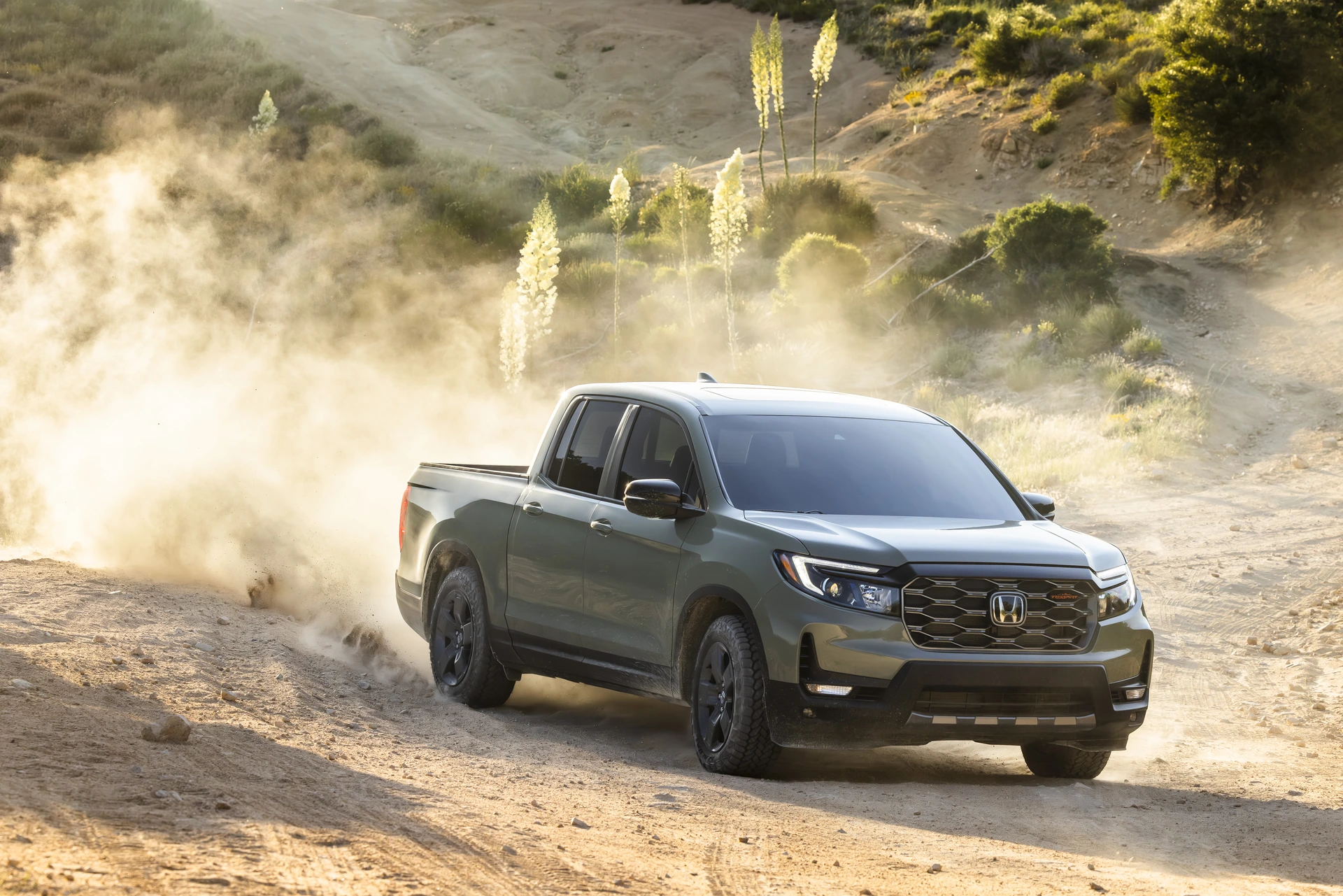 Ridgeline