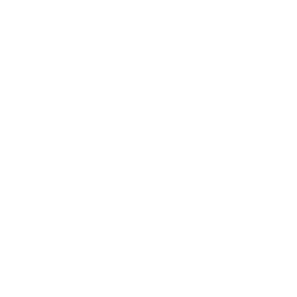 Engine and mechanical inspection
