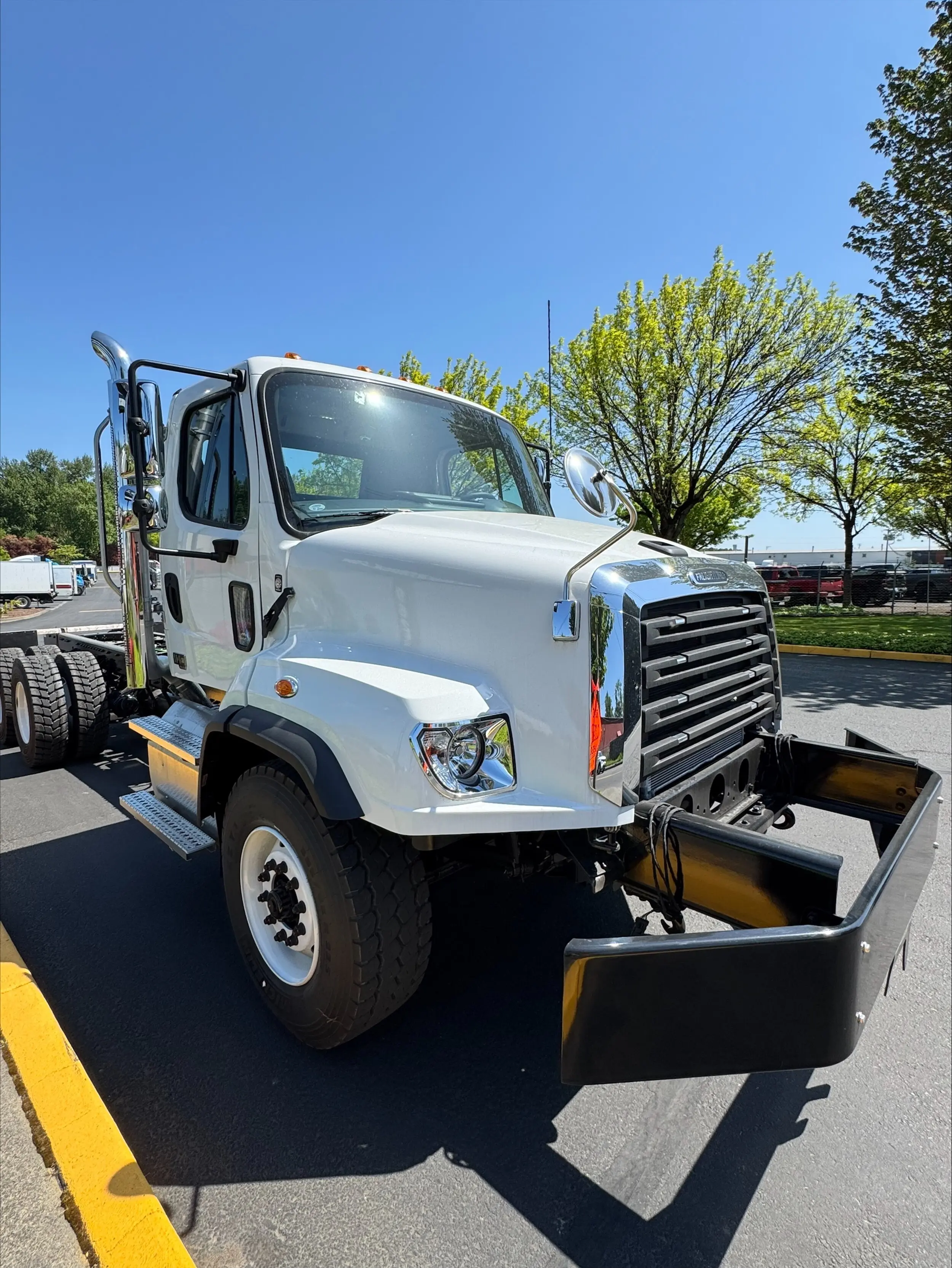 Freightliner Detail 2