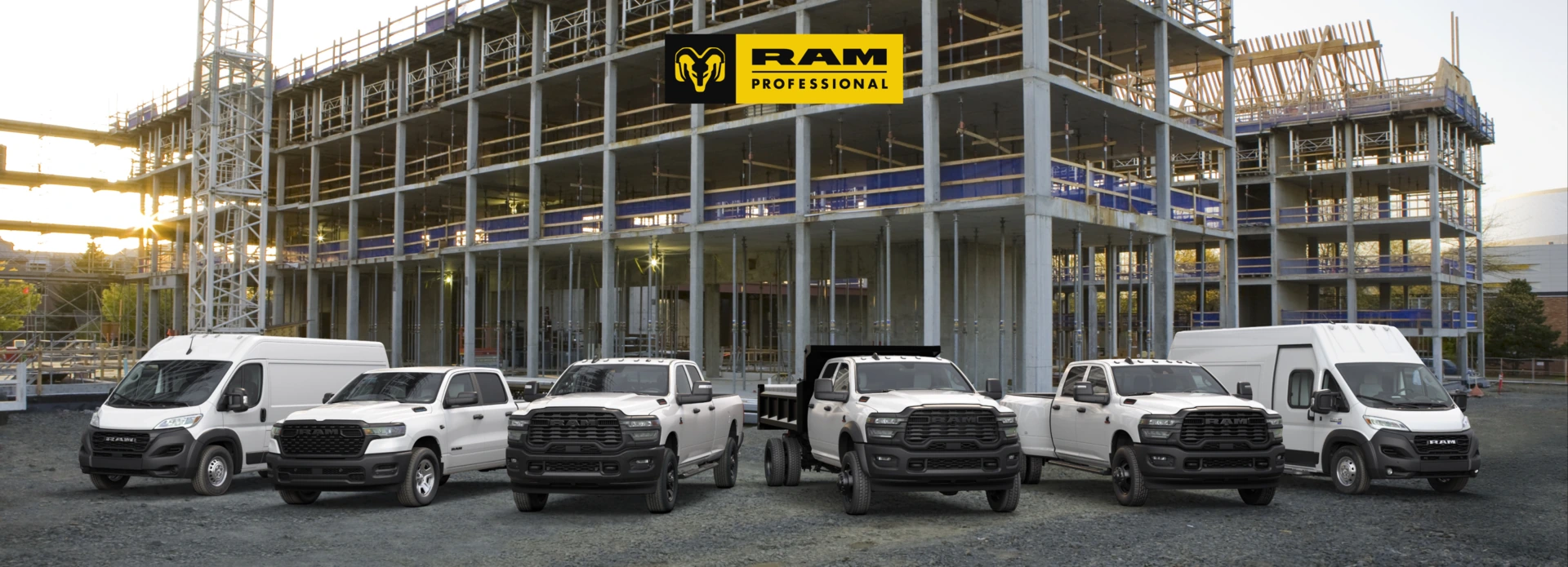 RAM Professional
