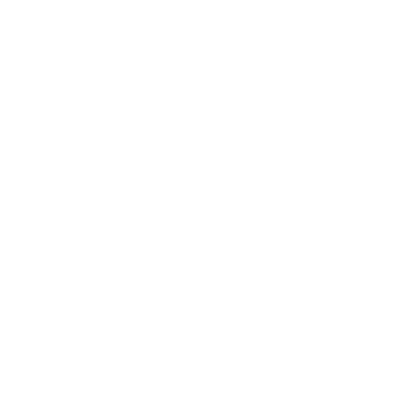 Car with price tag