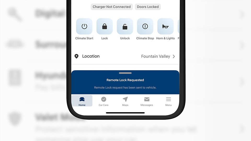 Remote Door Lock and Unlock